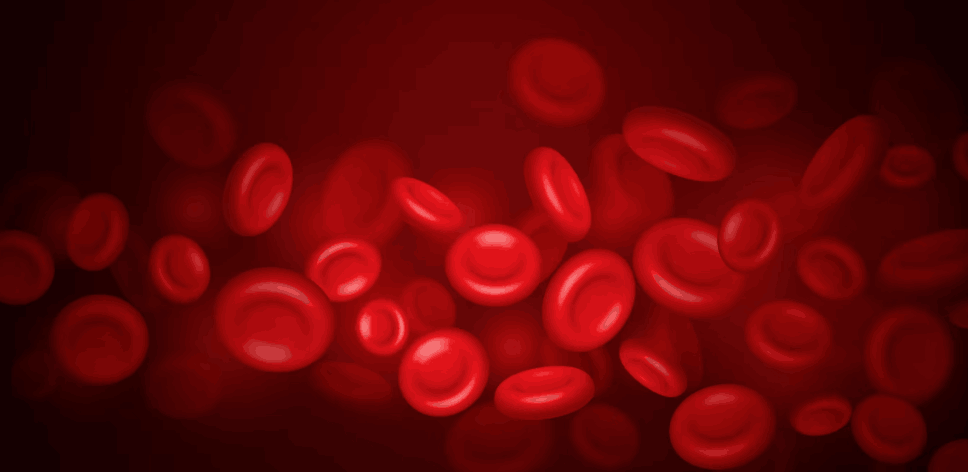 Normal Level of Haemoglobin